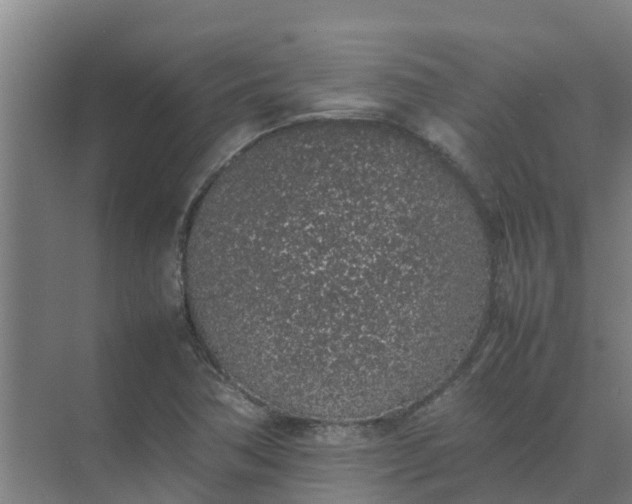 X0000074971362200609152111