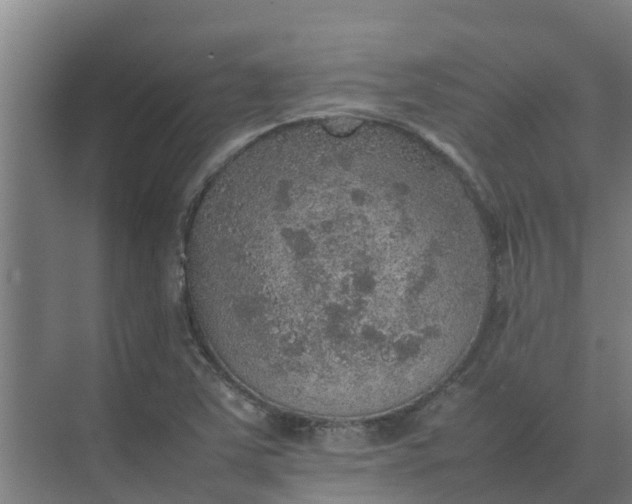 X0000074971363200609152111