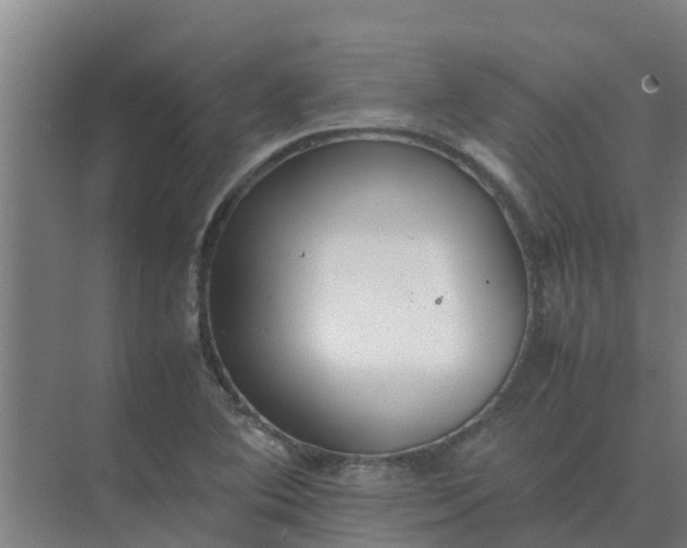 X0000074971364200609152111