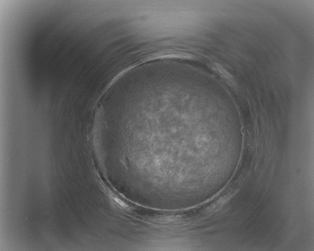 X0000074971369200609152111