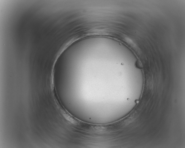 X0000074971370200609152111