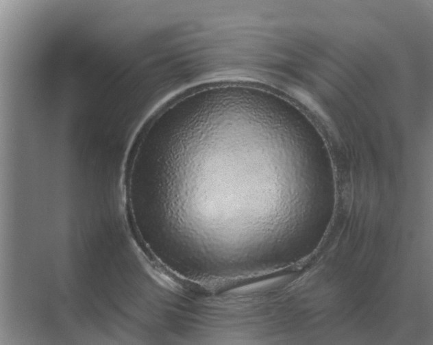 X0000074971372200609152111