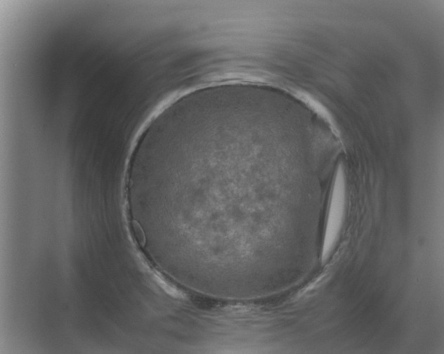 X0000074971373200609152111