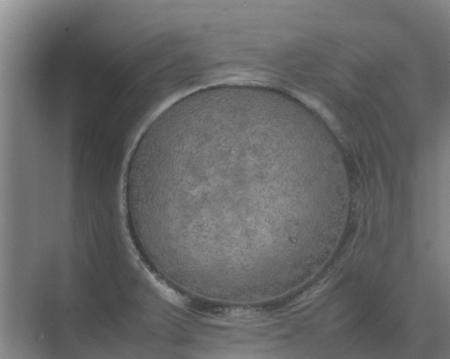 X0000074971375200609152111