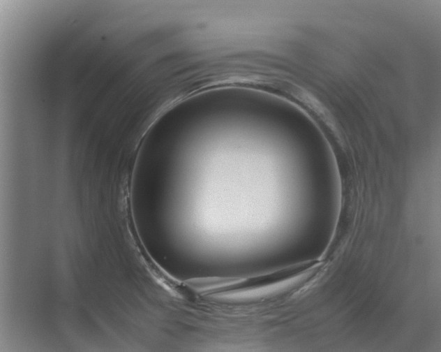 X0000074971377200609152111