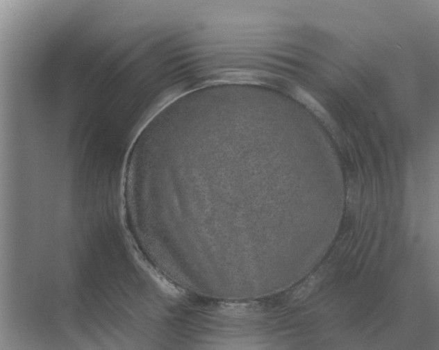 X0000074971378200609152111