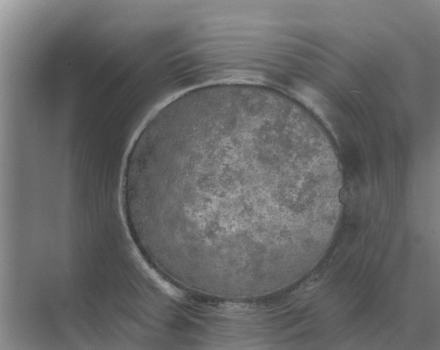 X0000074971379200609152111