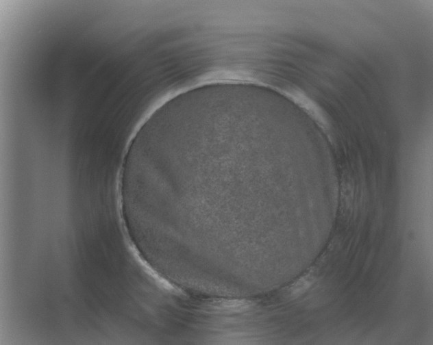 X0000074971382200609152111