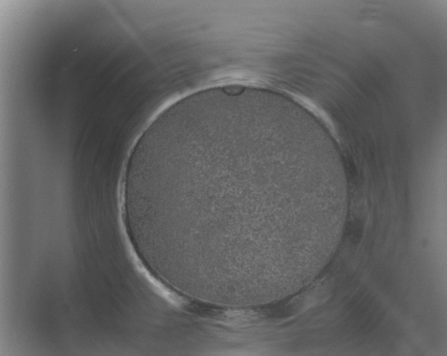 X0000074971383200609152111