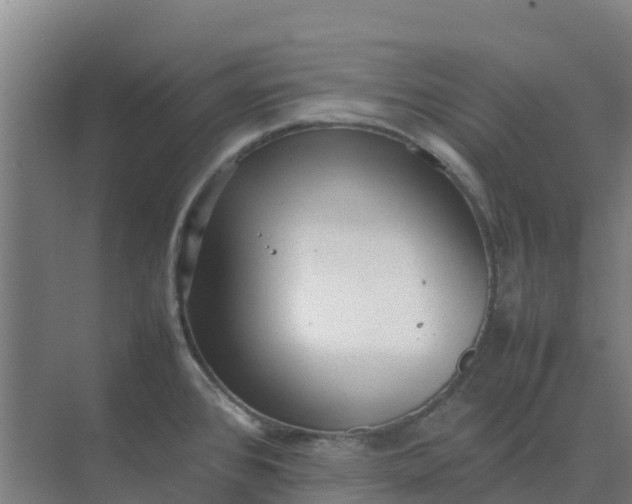 X0000074971384200609152111