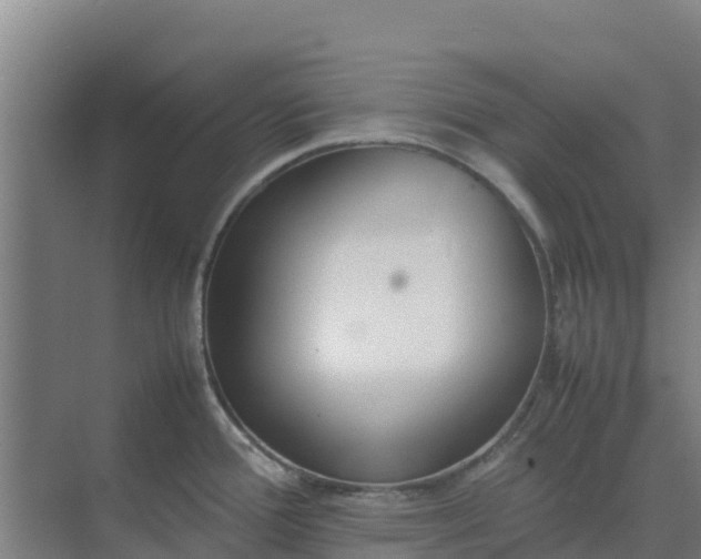 X0000074971388200609152111