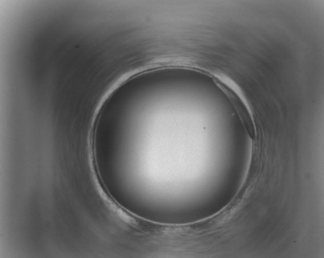 X0000074971389200609152111