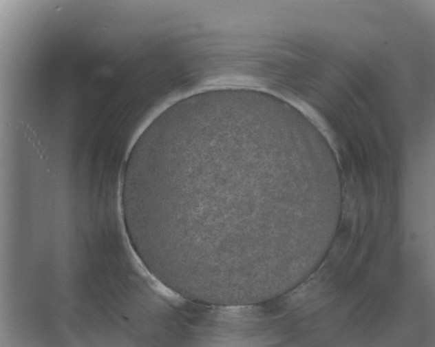 X0000074971390200609152111