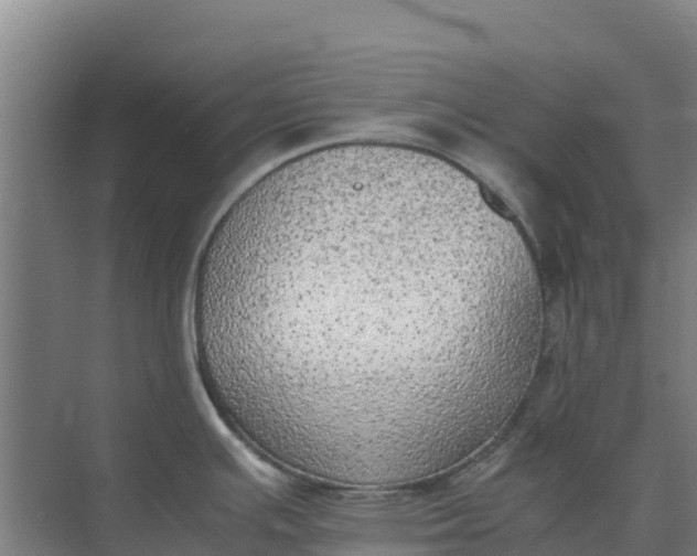 X0000074971391200609152111