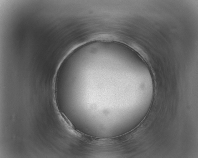 X0000074971392200609152111