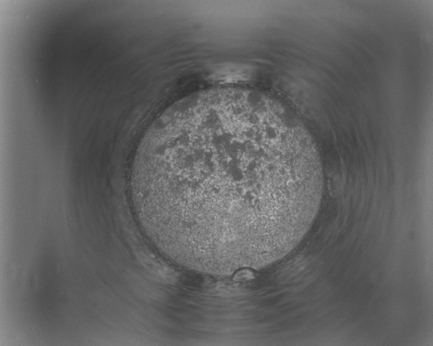 X0000074971393200609152110