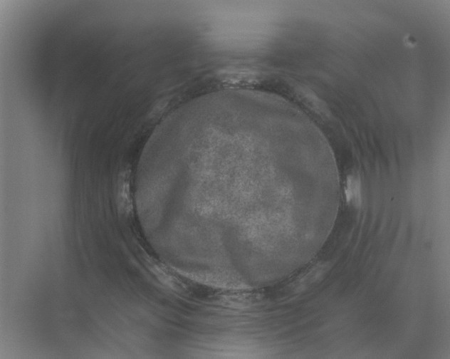 X0000074971396200609152110