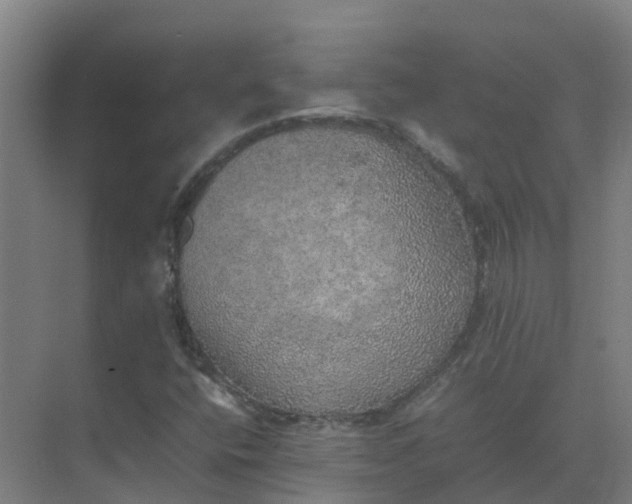 X0000074971400200609152110