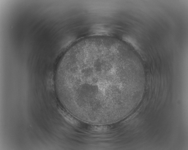 X0000074971403200609152110