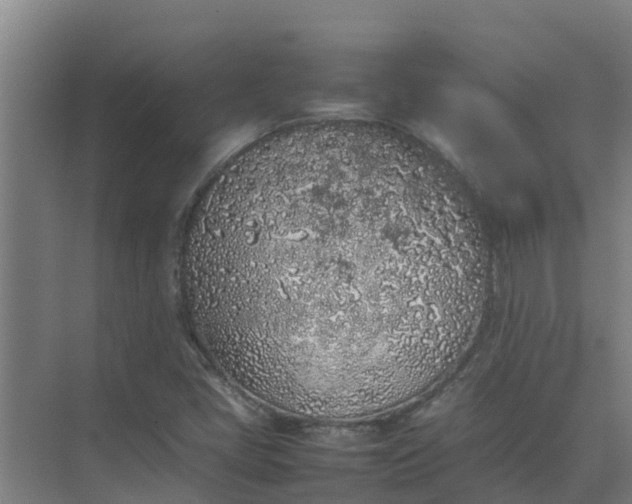 X0000074971405200609152110