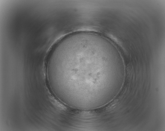 X0000074971408200609152110