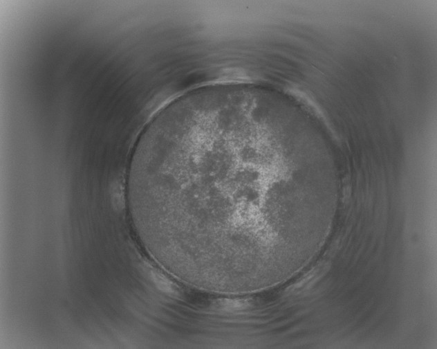 X0000074971409200609152110