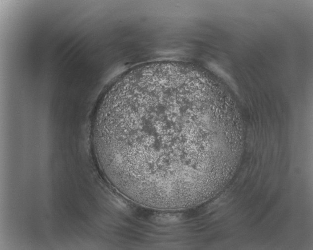 X0000074971411200609152110