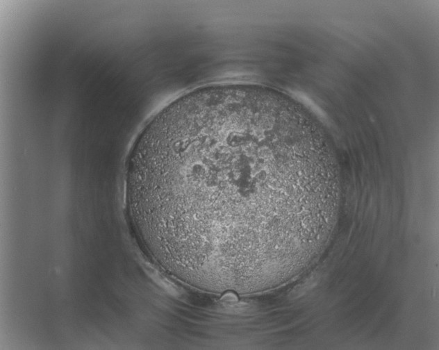 X0000074971413200609152110