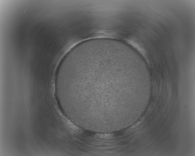 X0000074971415200609152110