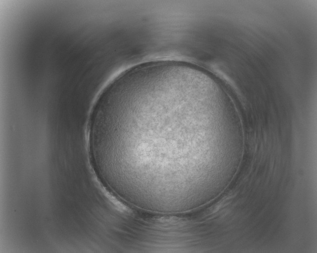 X0000074971416200609152110