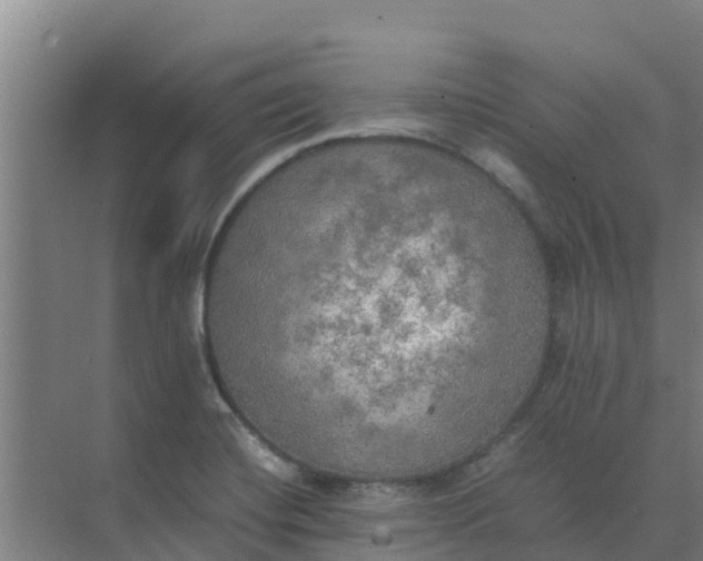 X0000074971420200609152111