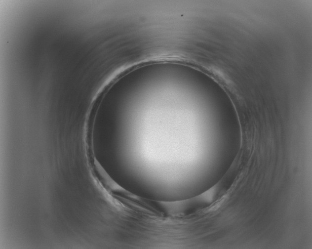 X0000074971422200609152111