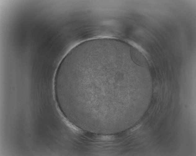 X0000074971423200609152111