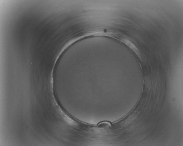 X0000074971428200609152111