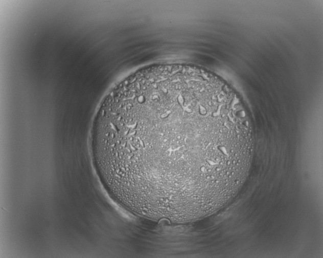 X0000074971429200609152111