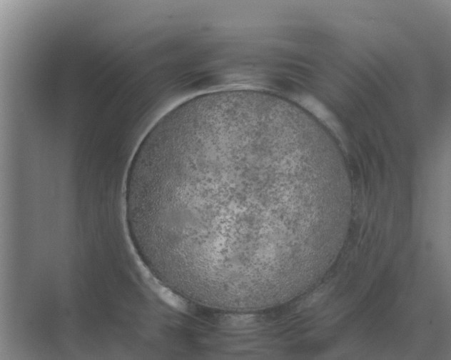 X0000074971431200609152111