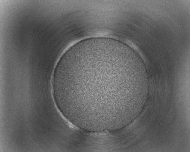 X0000074971432200609152111