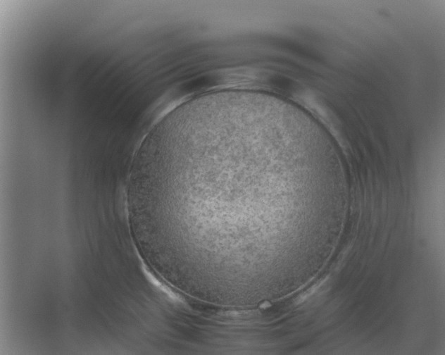 X0000074971433200609152111