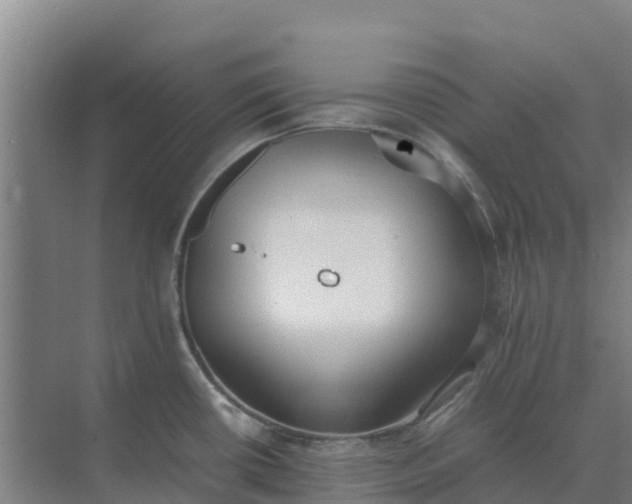 X0000074971434200609152111