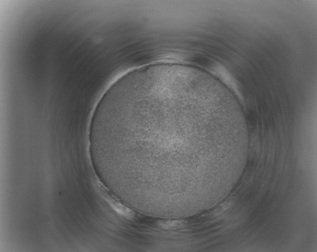 X0000074971435200609152111