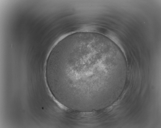 X0000074971437200609152111