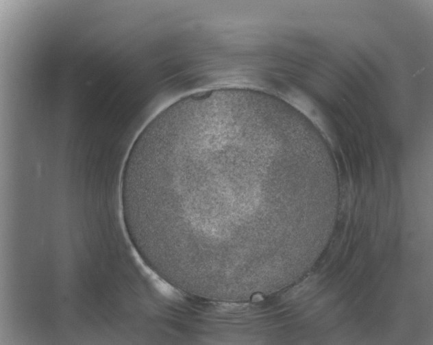 X0000074971439200609152111