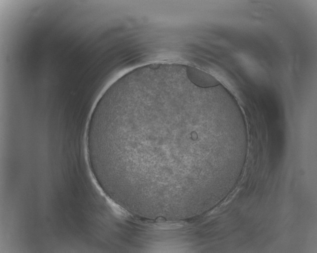 X0000074971440200609152111