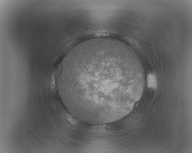 X0000074971444200609152110