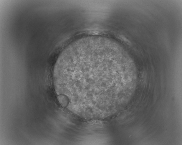 X0000074971446200609152110