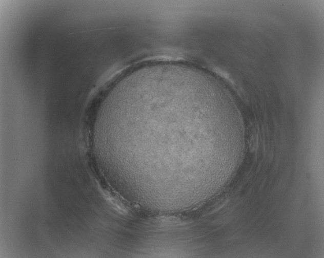 X0000074971448200609152110