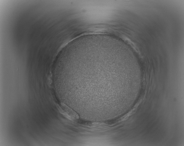 X0000074971449200609152110