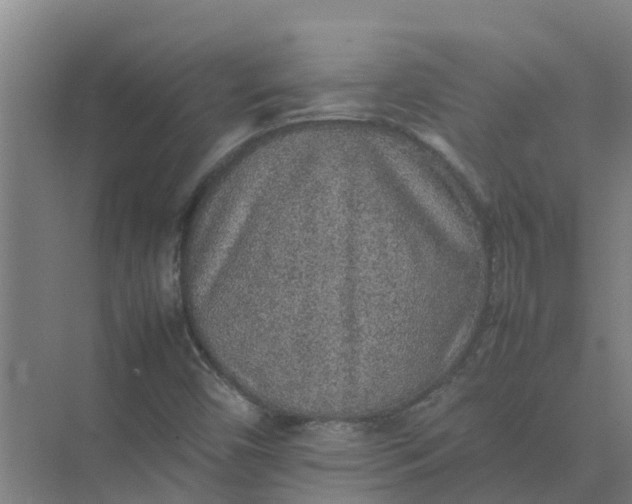 X0000074971450200609152110