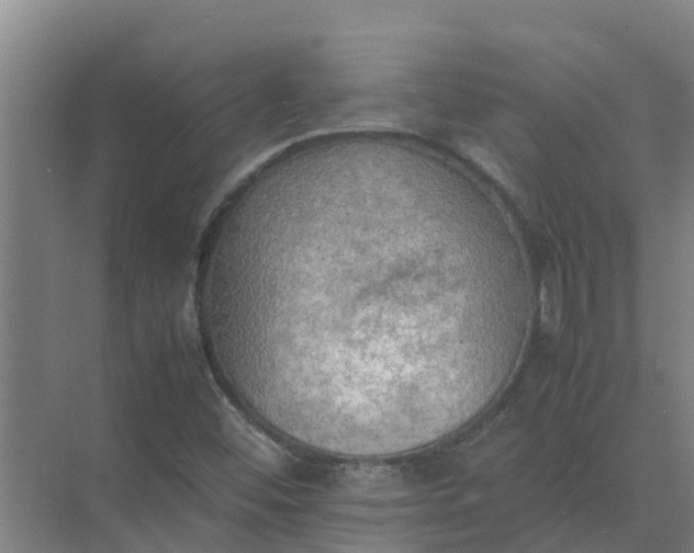 X0000074971452200609152110