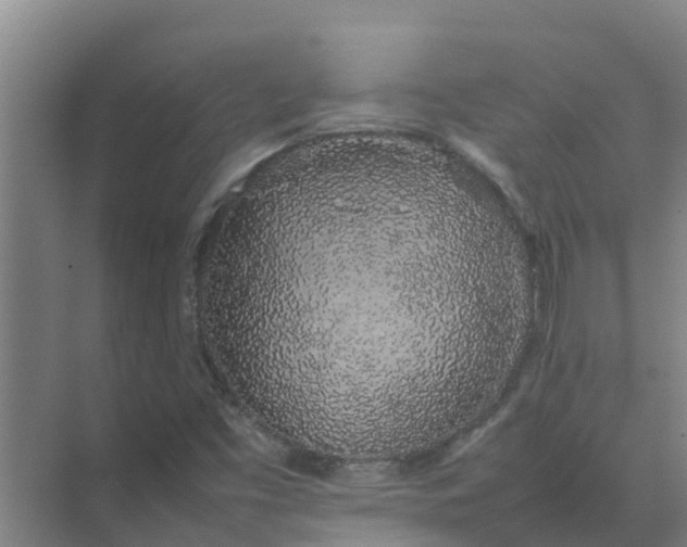 X0000074971453200609152110